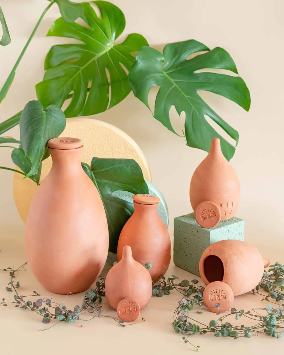 Mini Burbuja Autorriego 100ml - Imagen 4